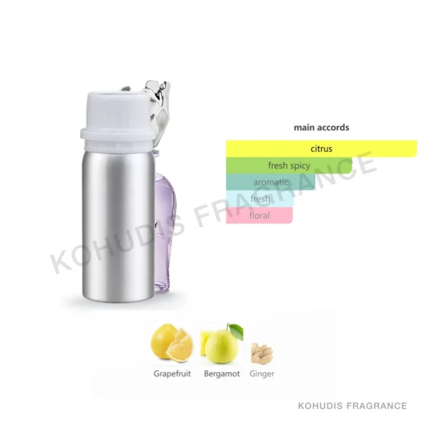 SunnyTown P135-100ML SunnyTown P135-100ML aluminum fragrance bottle