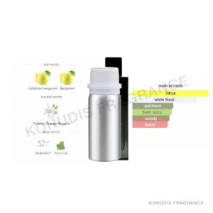 SunnyTown P69-100ML SunnyTown P69-100ML aluminum fragrance bottle